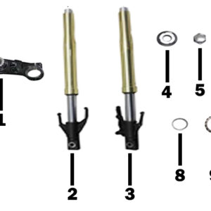 SUSPENSION  DELANTERA