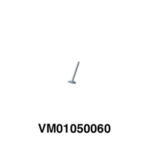 Válvula De Escape